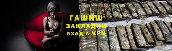 стаф Алексин