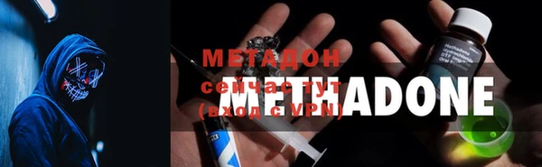 стаф Алексин