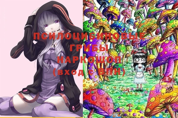 стаф Алексин