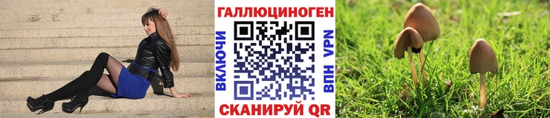 Галлюциногенные грибы GOLDEN TEACHER Орск