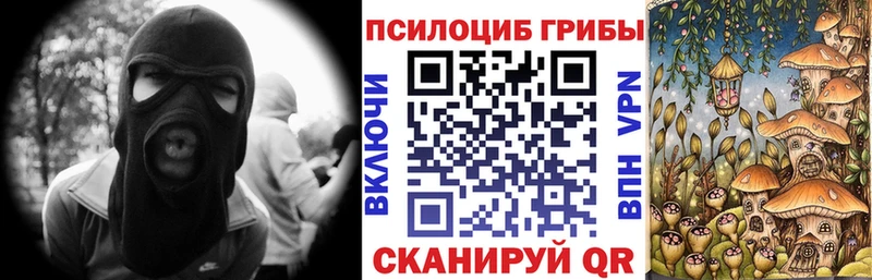 Галлюциногенные грибы MAGIC MUSHROOMS OMG ССЫЛКА Орск
